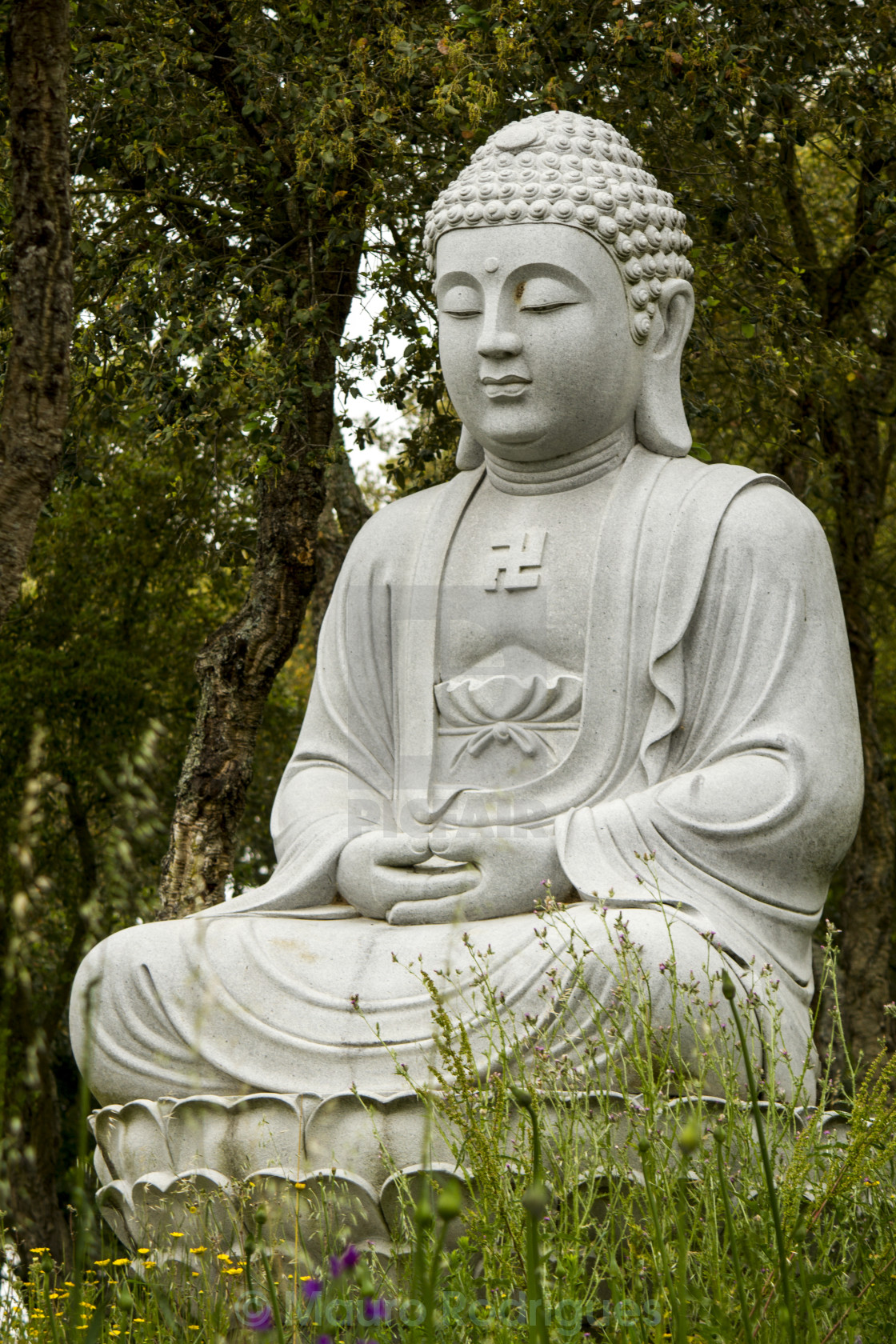 beautiful Buddha statue on a park - License, download or print for ...