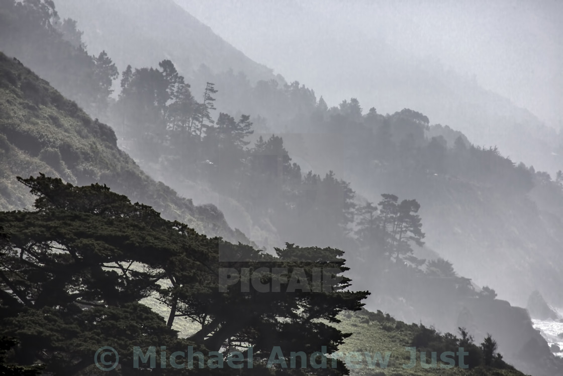 "Foggy Coast" stock image