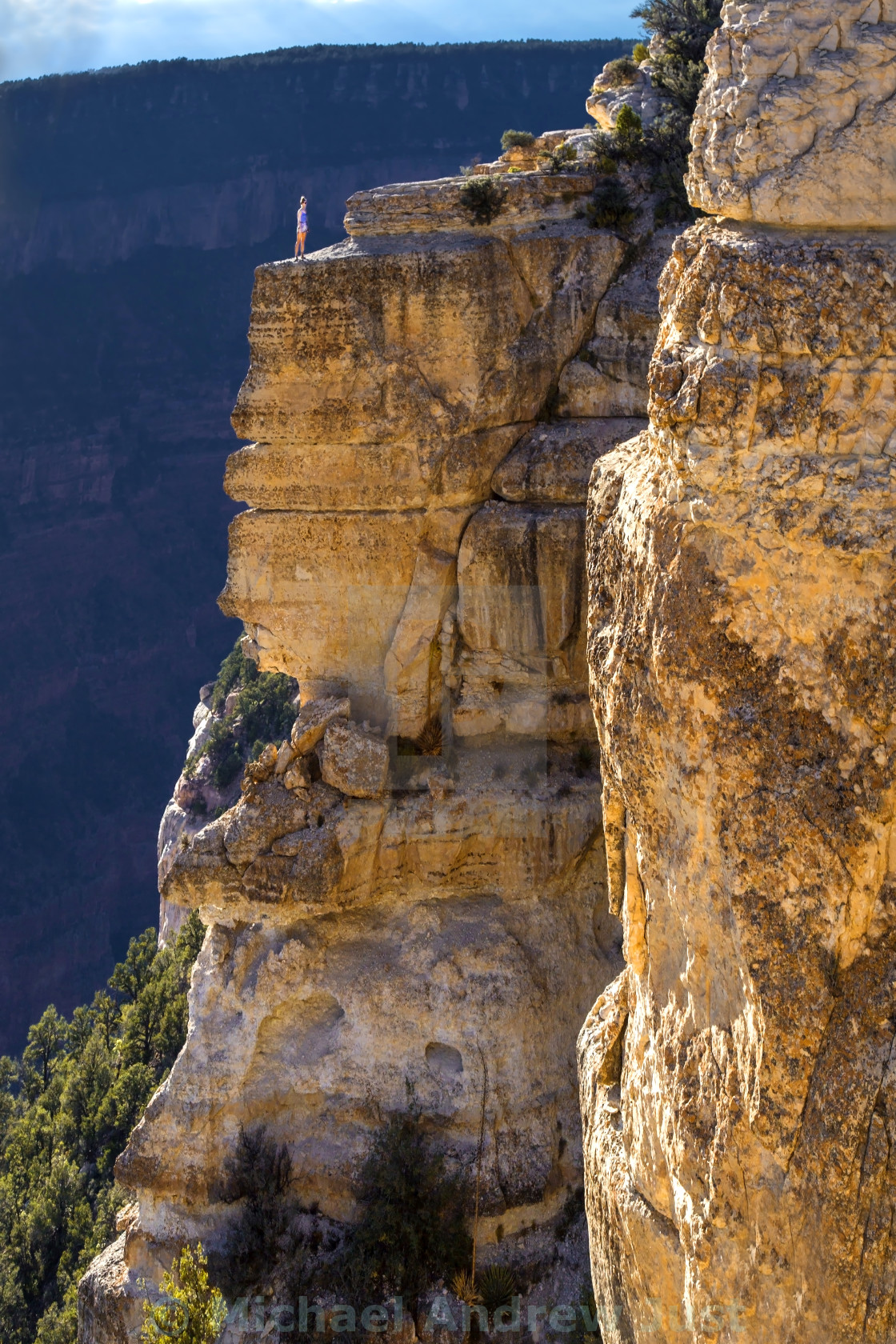 "North Rim Grand Canyon" stock image