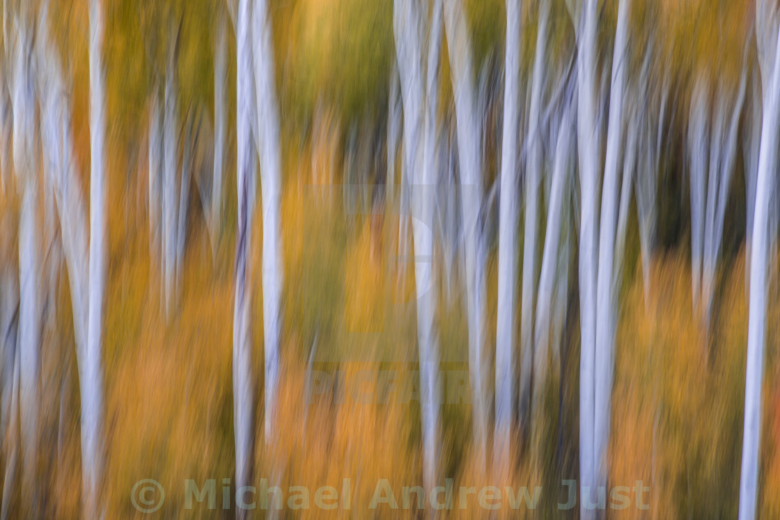 Utah Autumn License Download Or Print For 15 00 Photos Picfair