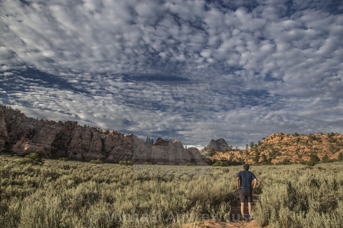 "Zion Kolob Terrace" stock image