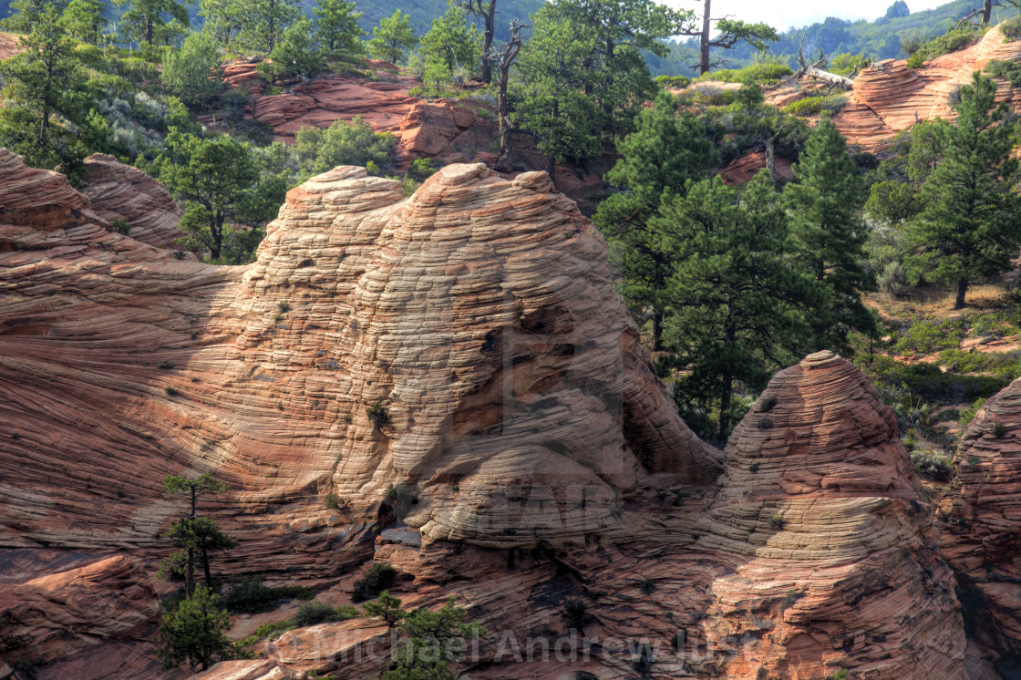 "Zion Kolob Terrace" stock image