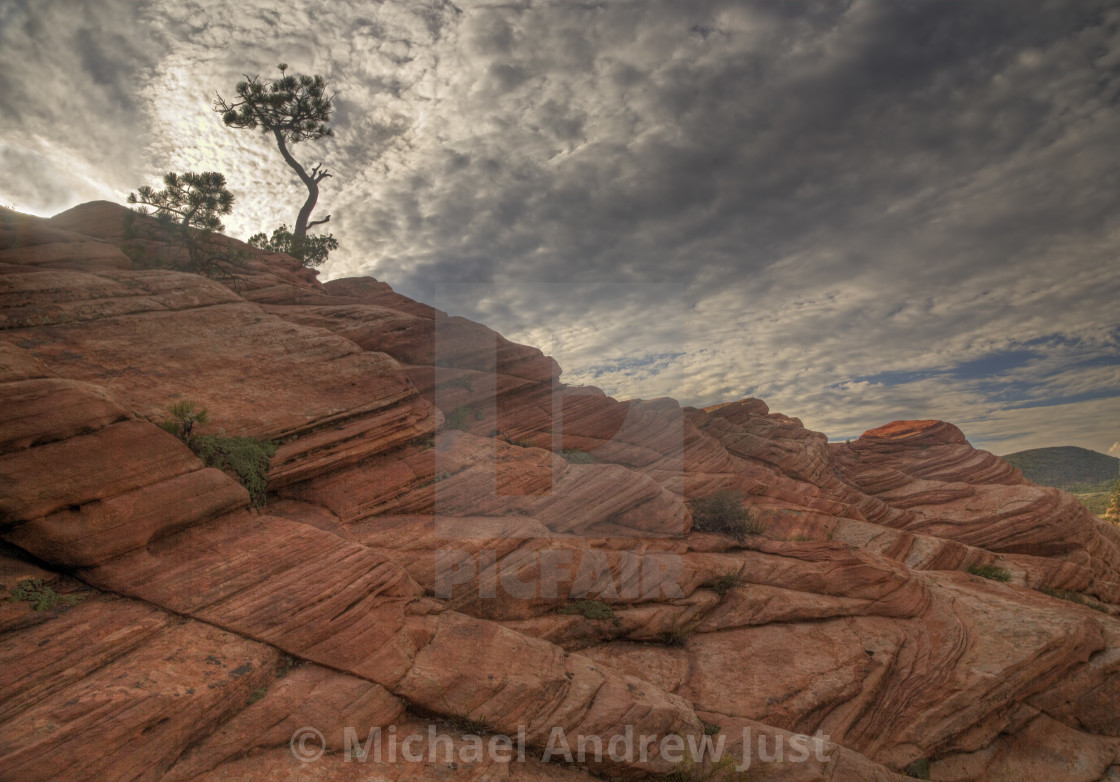 "Zion Kolob Terrace" stock image