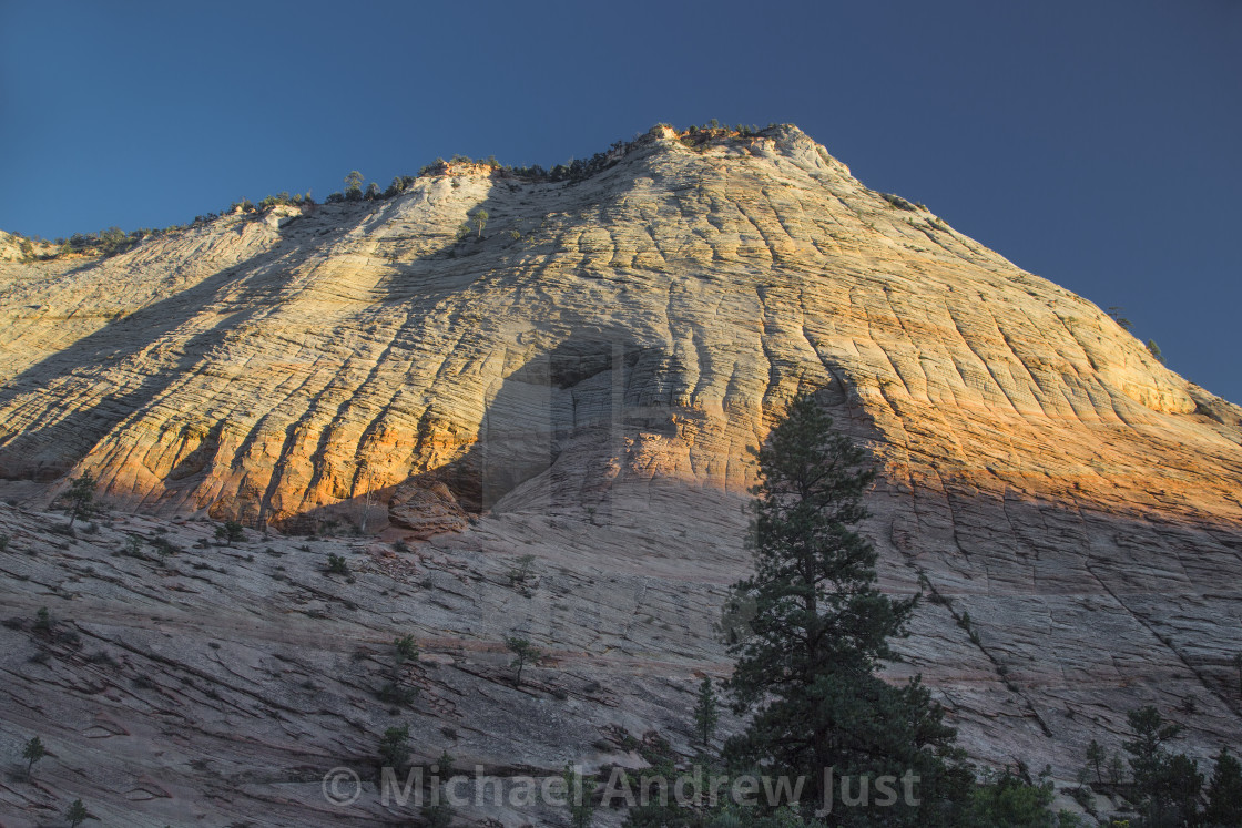 "Zion's Crazy Quilt Mesa" stock image