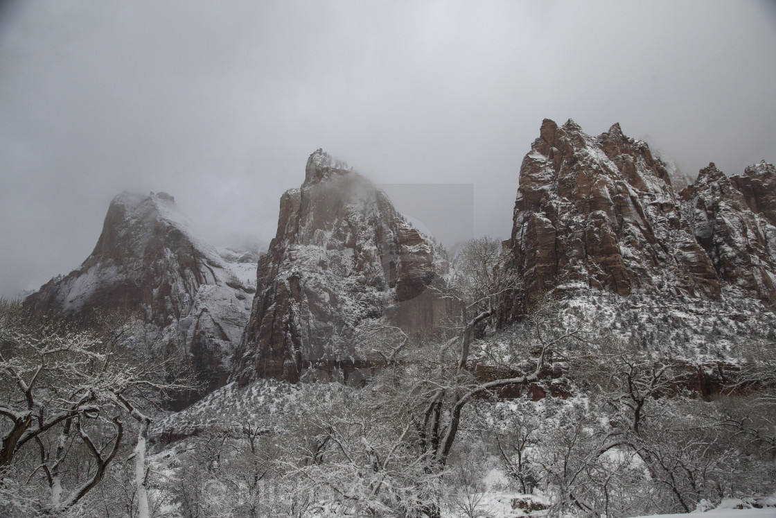 "Snowy Zion" stock image