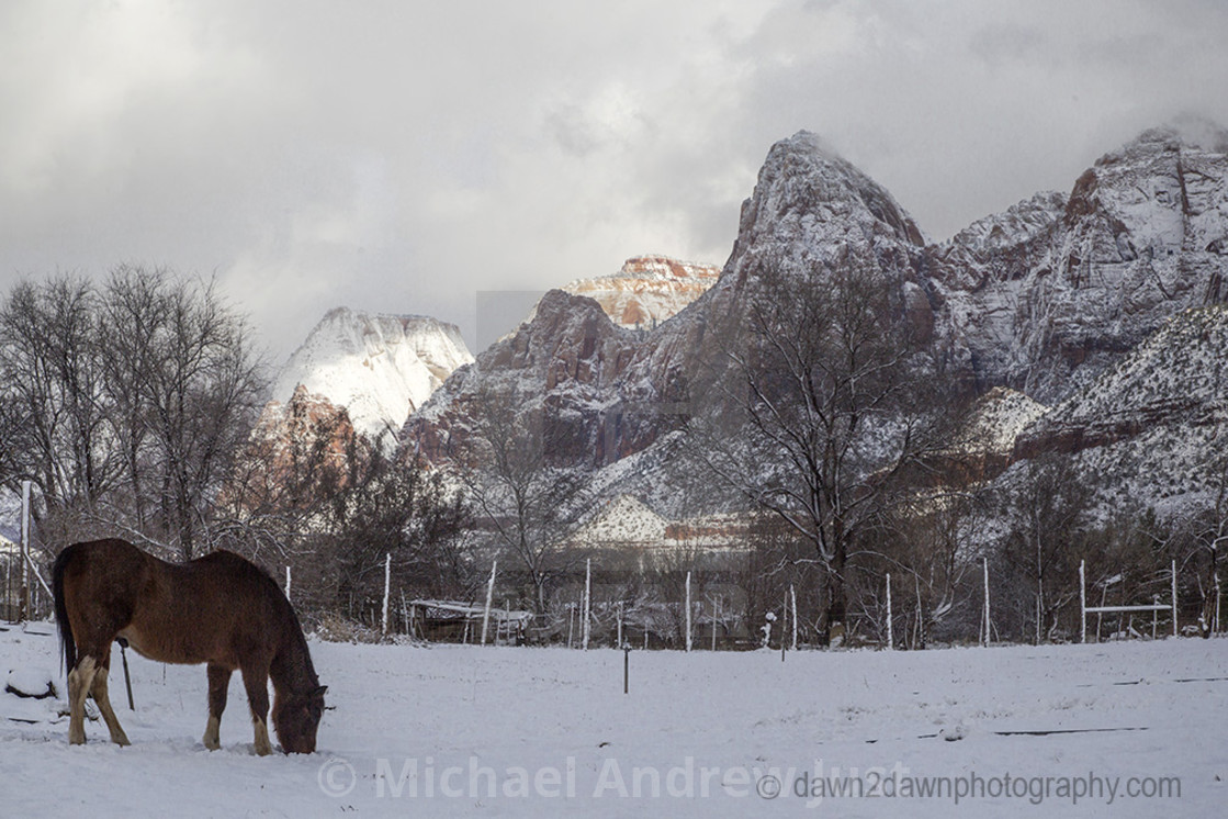 "Snowy Zion" stock image