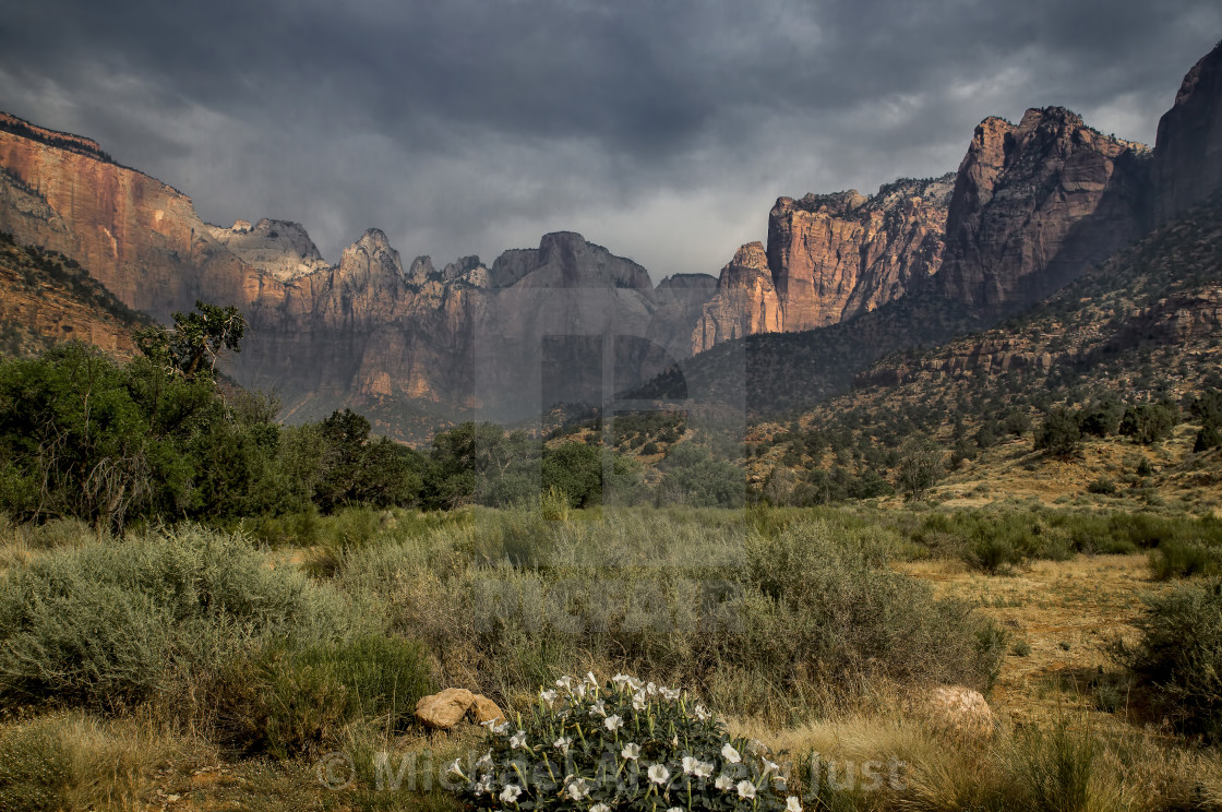 "Zion Canyon Summer" stock image