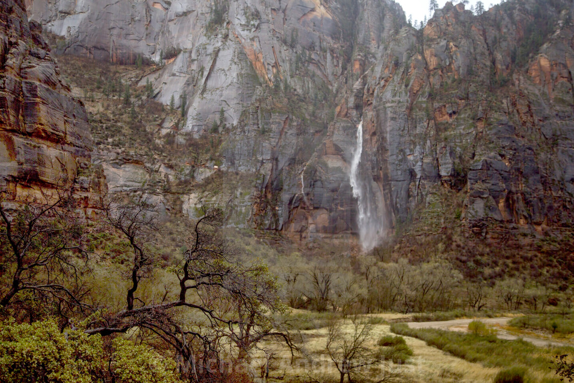 "Zion Waterfall" stock image