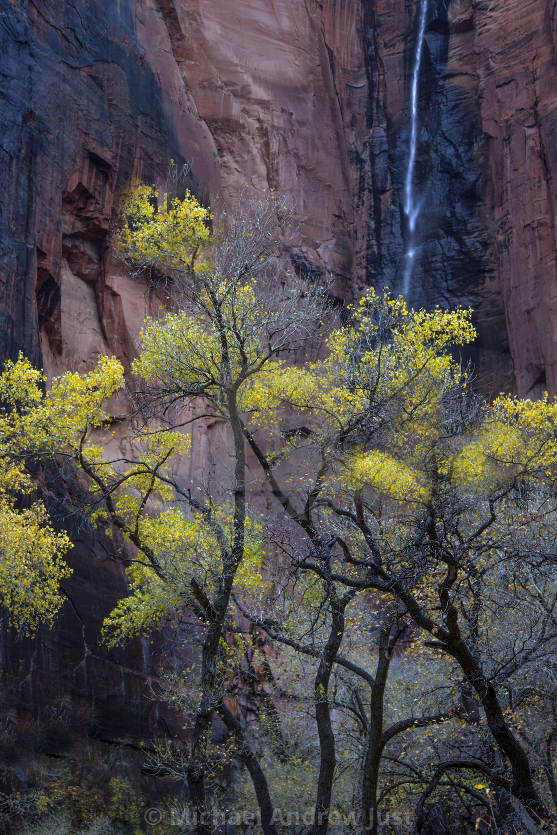 "Zion Waterfall" stock image