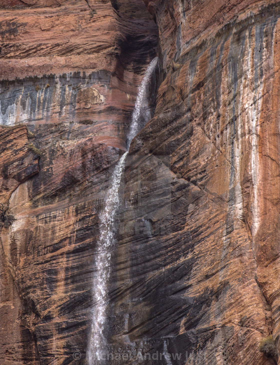 "Stormy Zion National Park" stock image