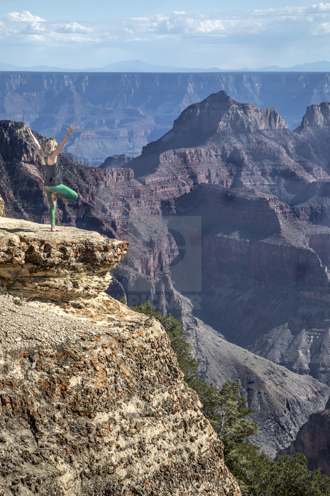 "Woman At Grand Canyon" stock image