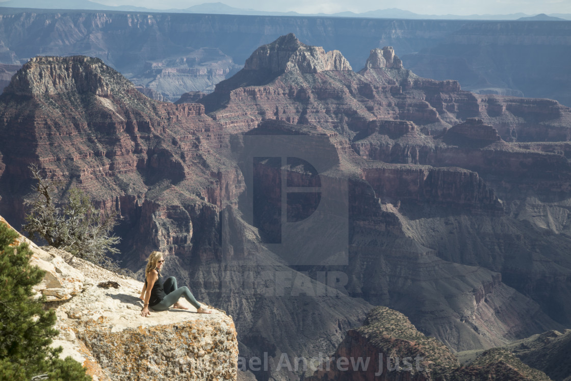 "Grand Canyon's North Rim" stock image