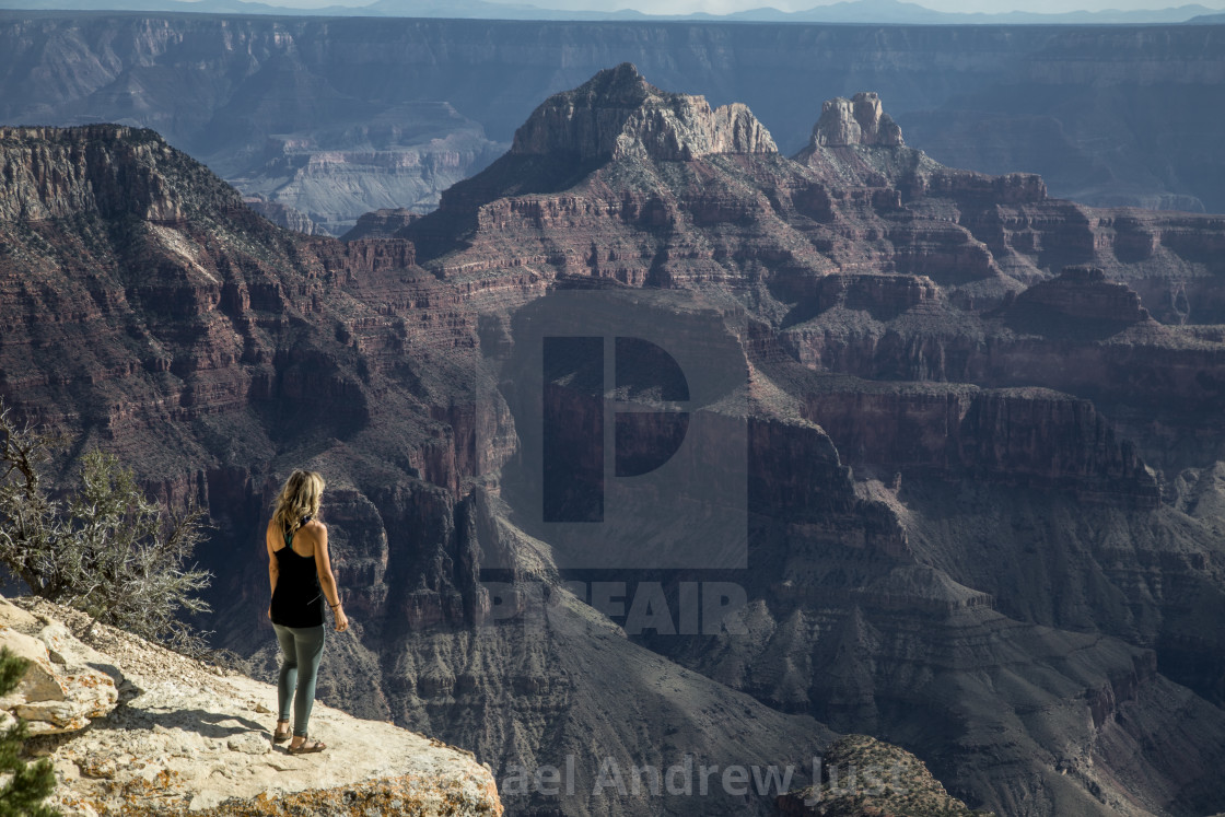 "Grand Canyon's North Rim" stock image