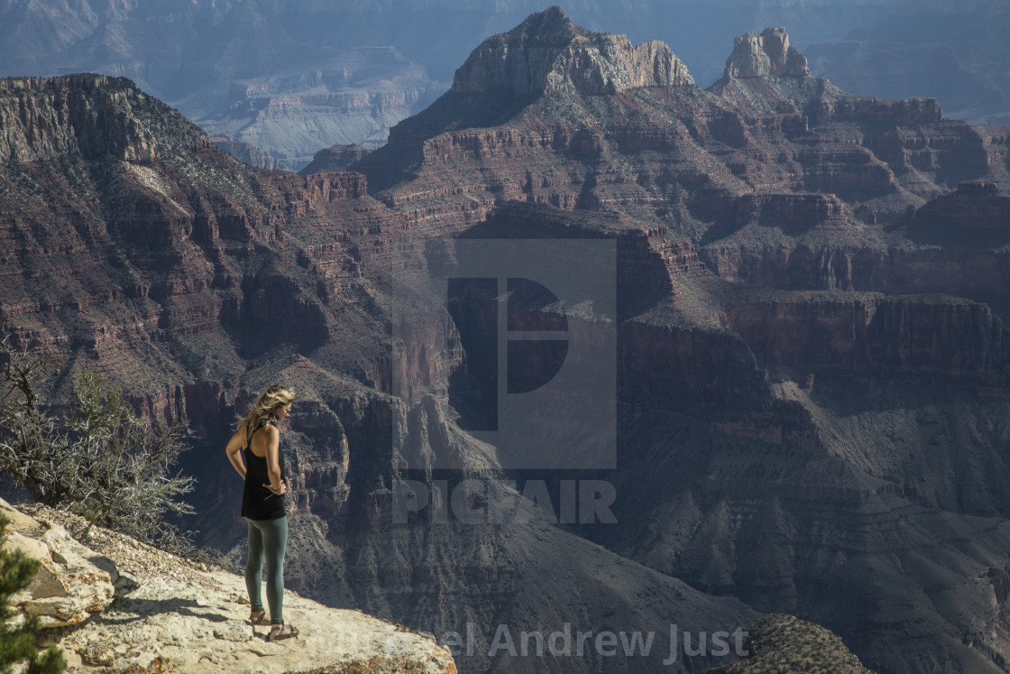 "Grand Canyon's North Rim" stock image