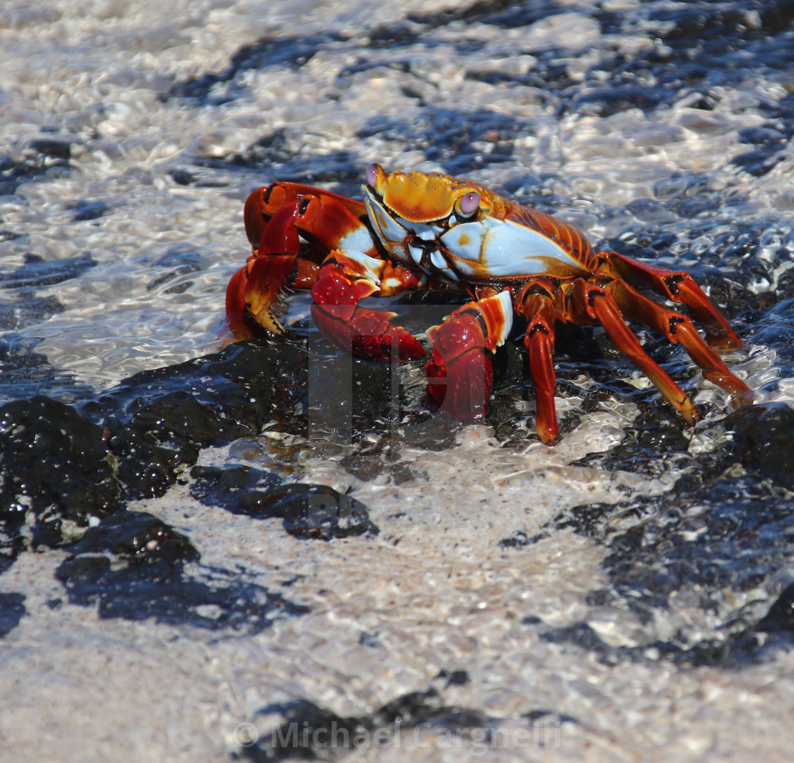 "Get your feet wet!" stock image