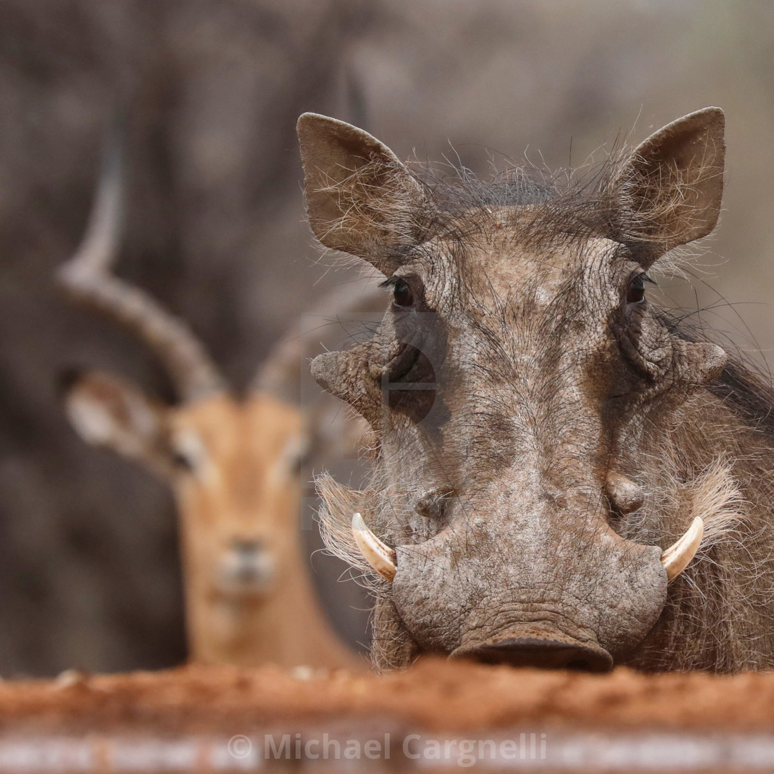 "Beside Myself!" stock image