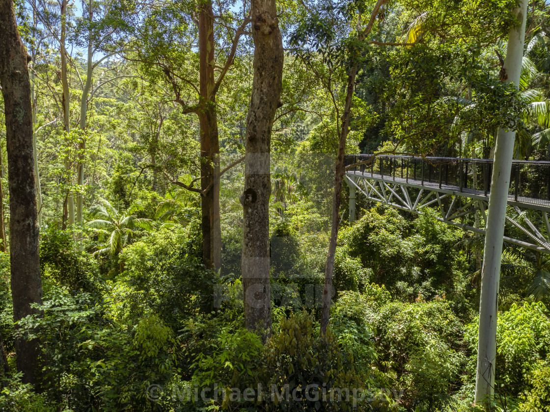 Skywalk In The Tamborine Mountains License Download Or Print For 12 40 Photos Picfair