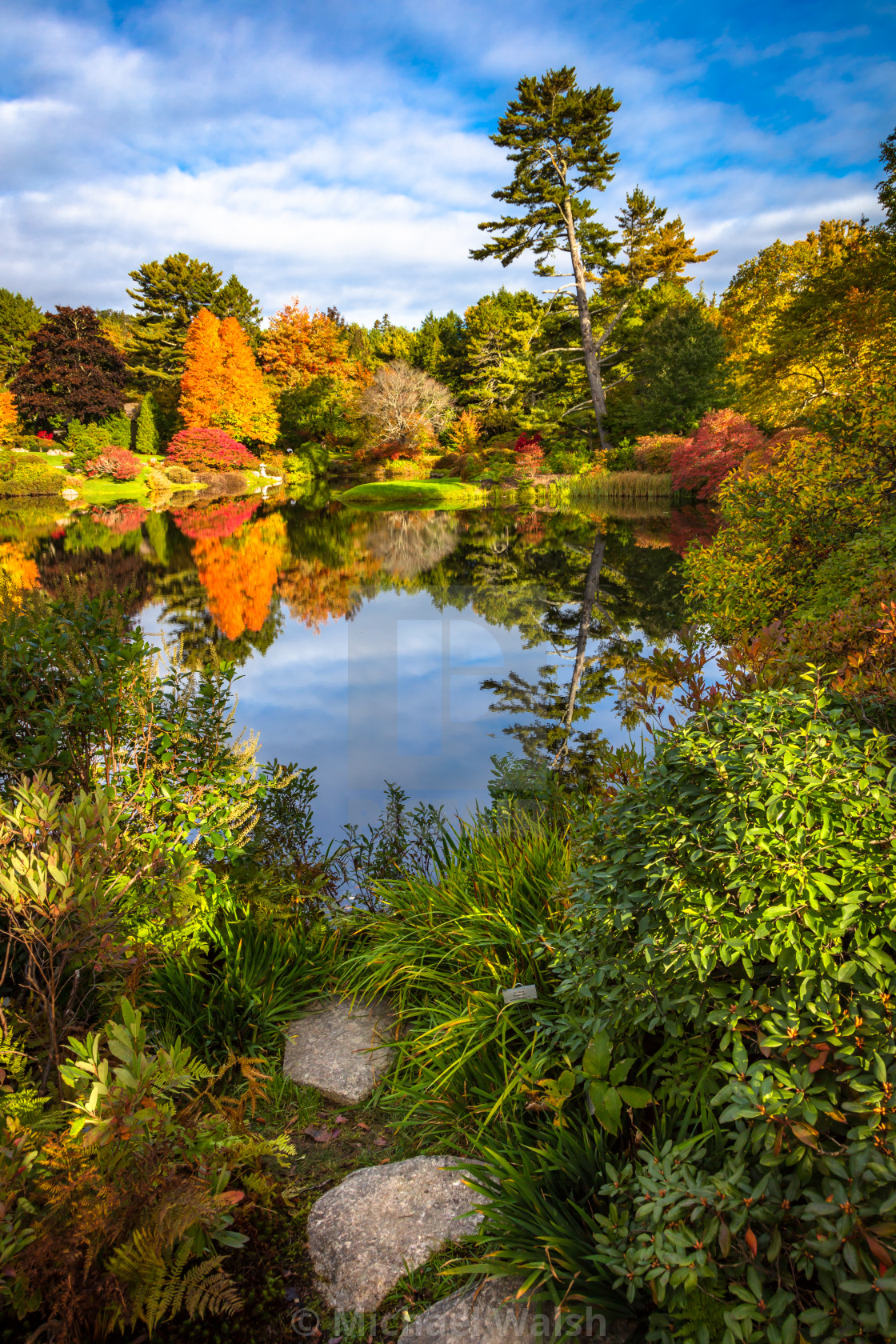 The Azalea Garden License Download Or Print For 18 60 Photos