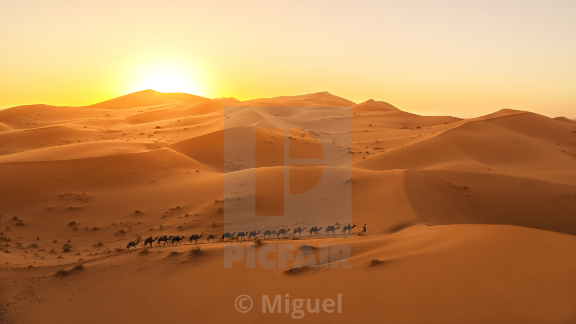 "Sunset in Sahara" stock image