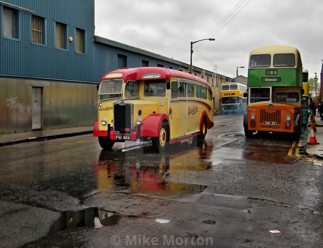 "Buses on a Rainy Day" stock image