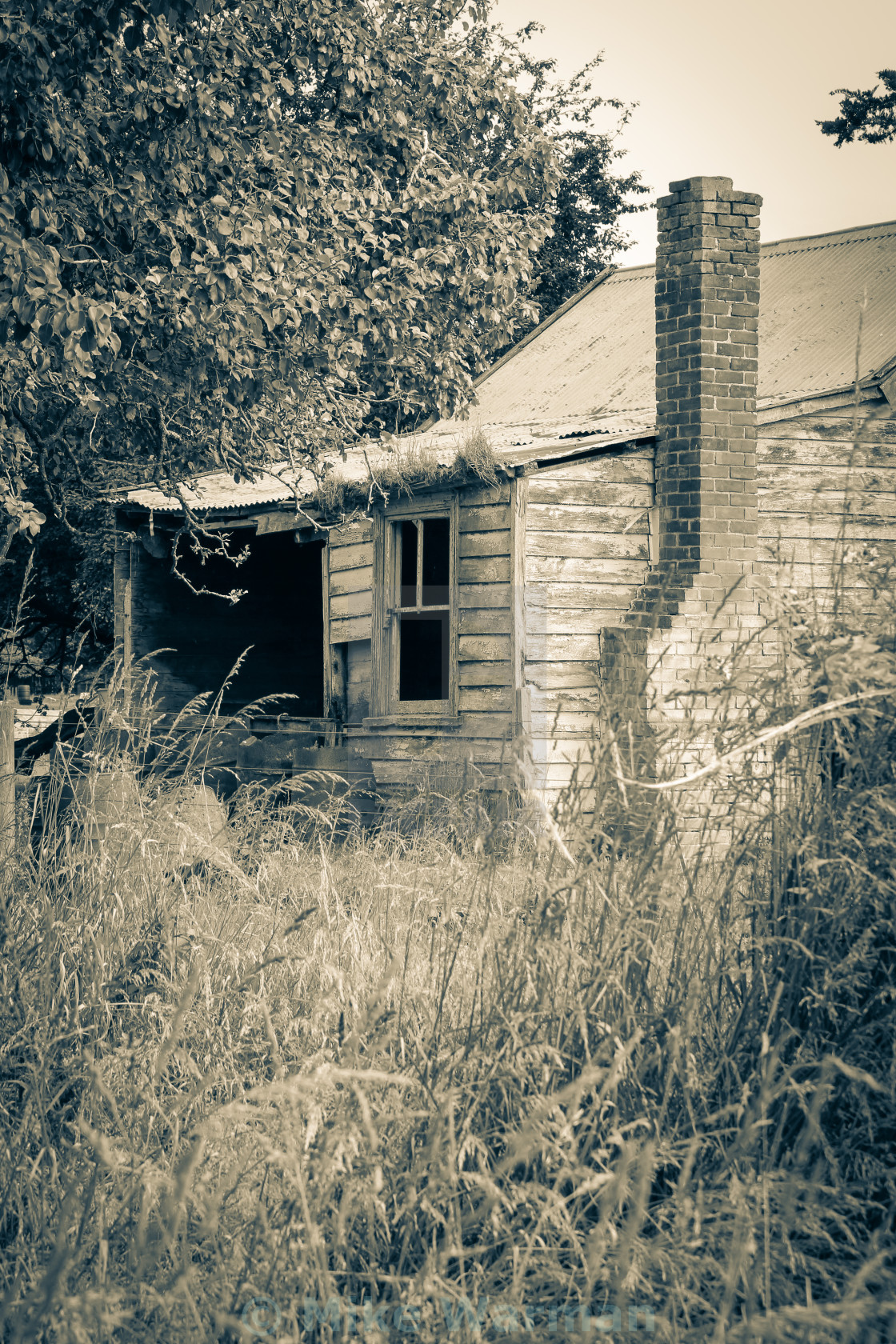 "abandoned cottage" stock image