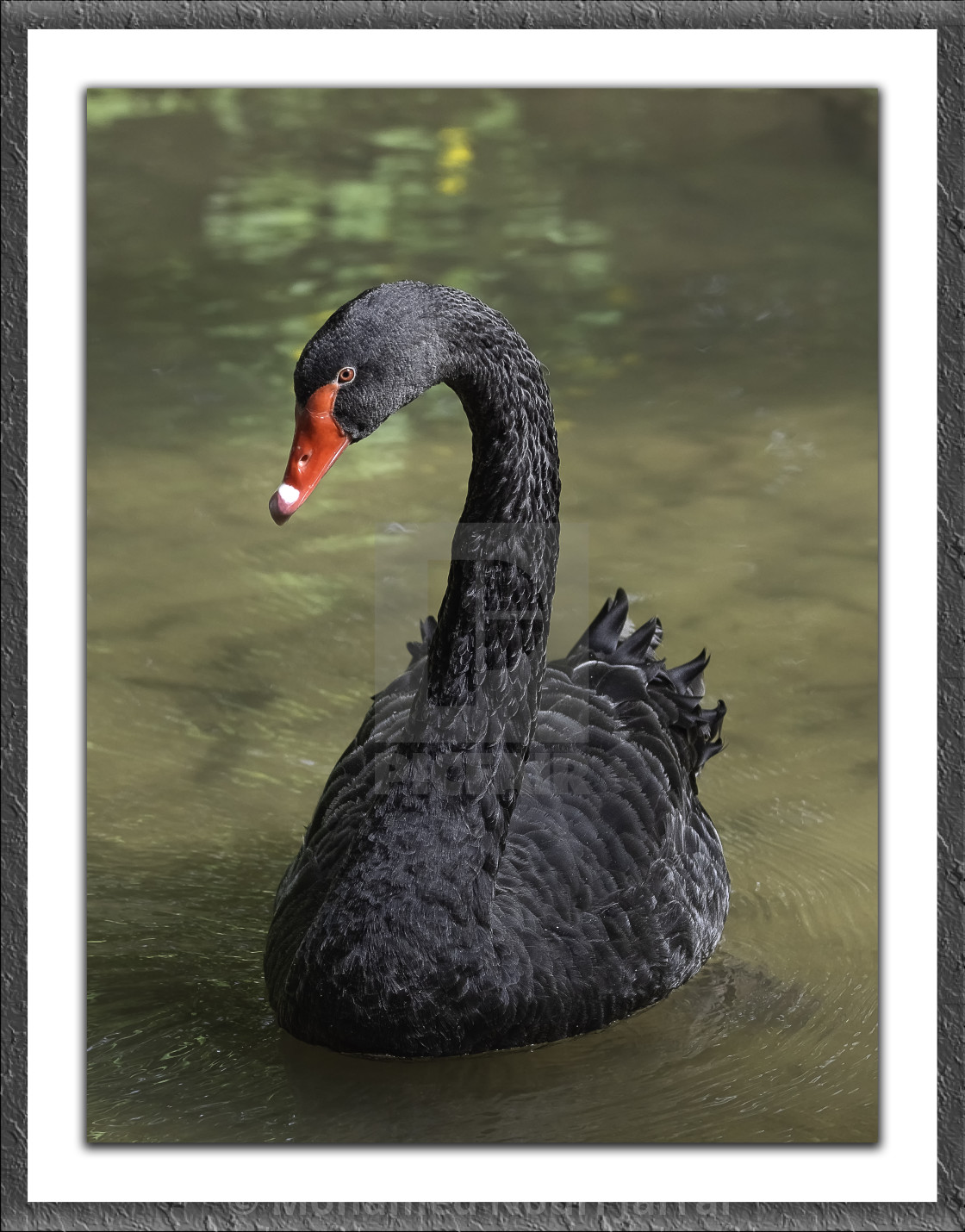 picfair