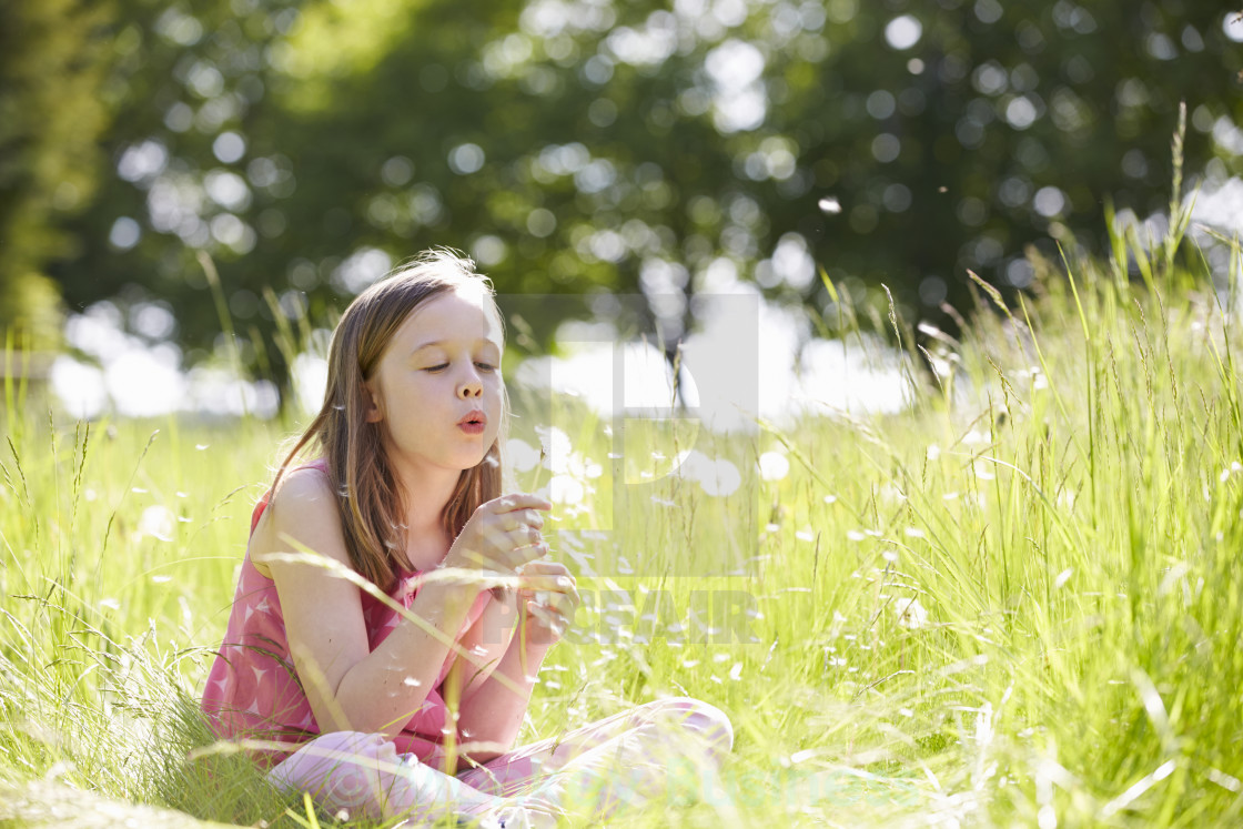 "Girl Sitting In Summer Field Blowing Dandelion Plant" stock image