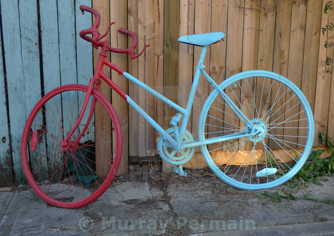 Red And Blue Bike License Download Or Print For 10 00 Photos