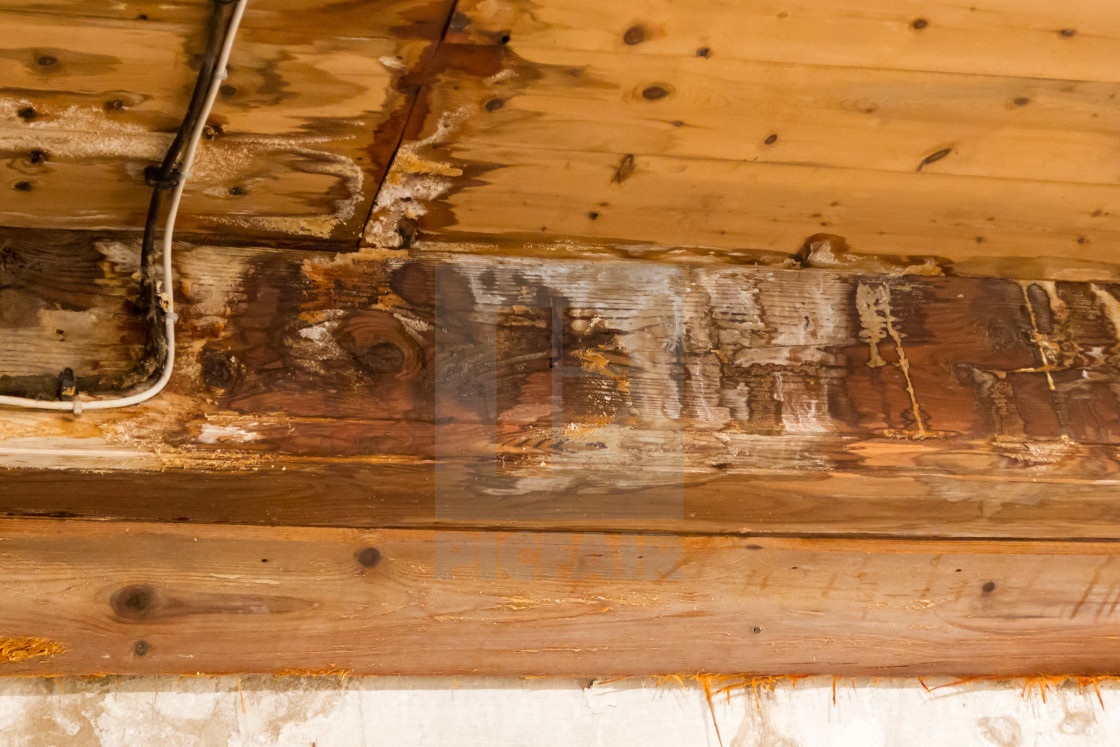 Water Damaged Ceiling And Wall License Download Or Print