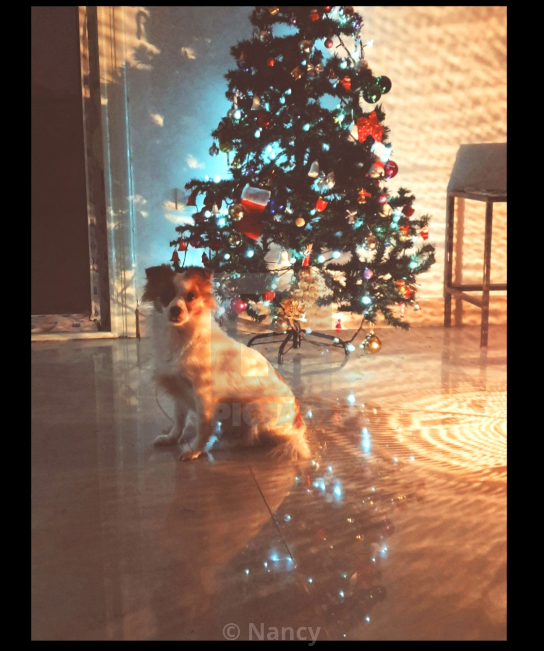 Christmas Vibes License Download Or Print For 24 80 Photos Picfair