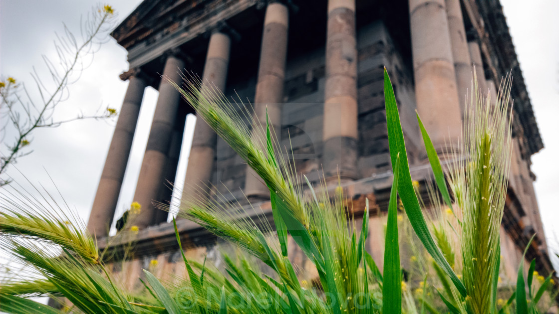 Around The Temple Of Mithra License Download Or Print For 123 88 Photos Picfair A summary of key financial strength and profitability metrics. picfair