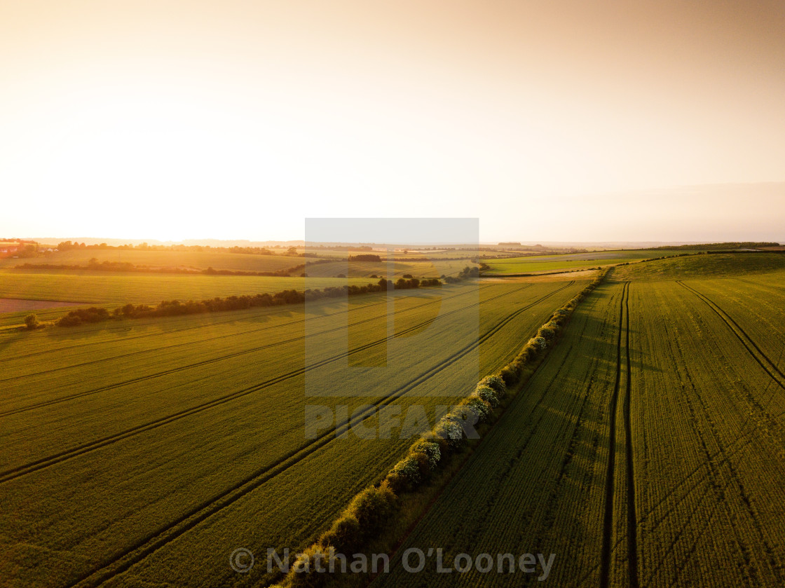"Golden hour" by Nathan O’Looney - £18.60 "Golden hour" stock image