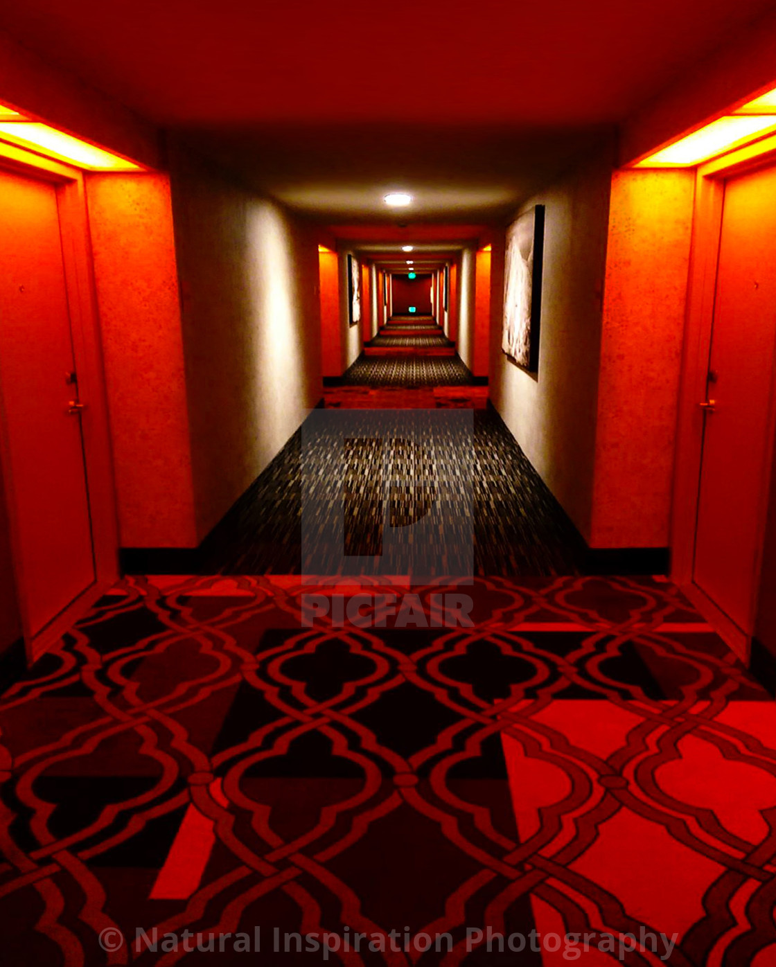 Reno Red License Download Or Print For 12 69 Photos Picfair