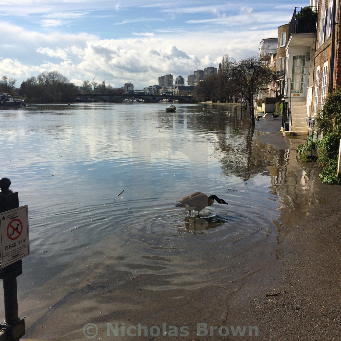 "high tide" stock image