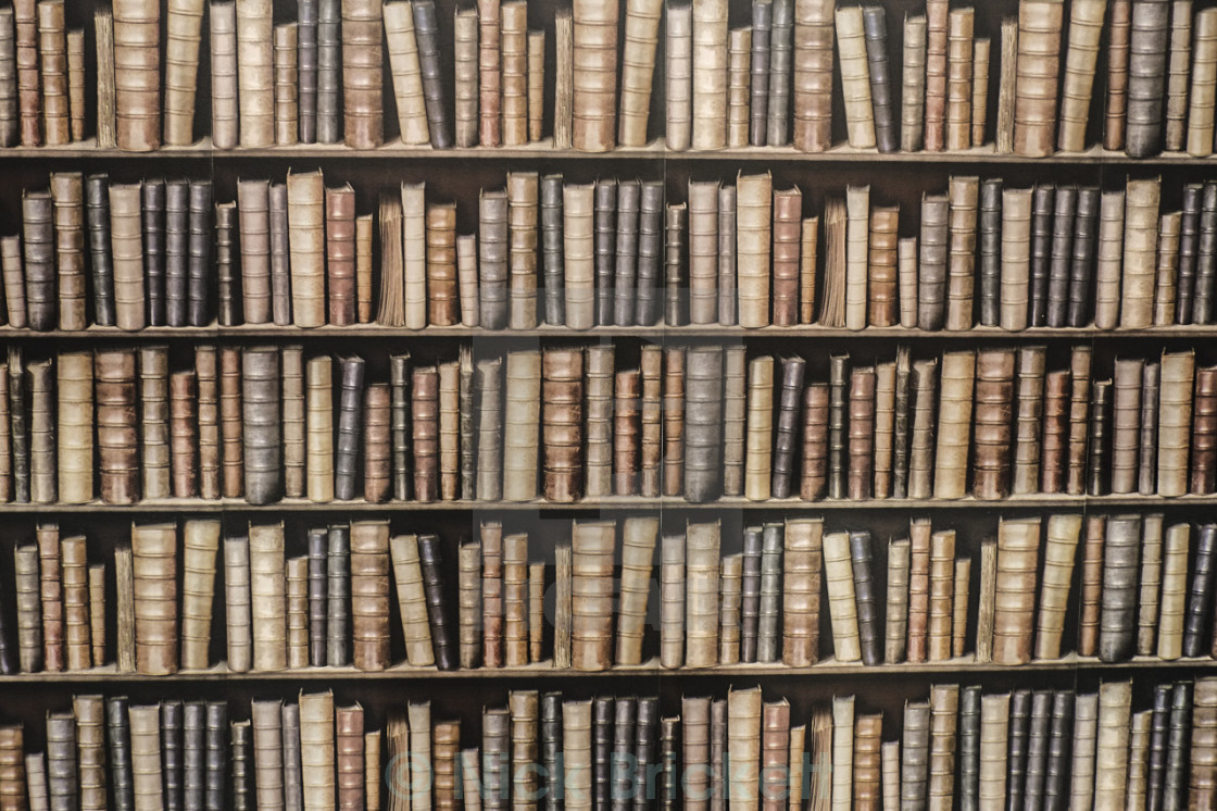 Bookshelf Wallpaper License Download Or Print For 5 00