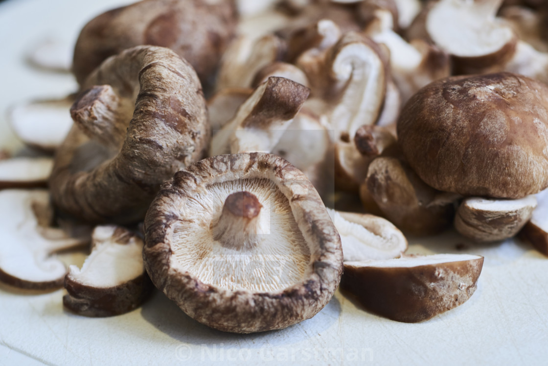 "SHIITAKE" stock image