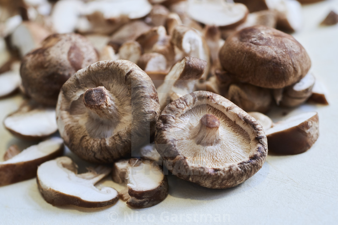 "SHIITAKE" stock image