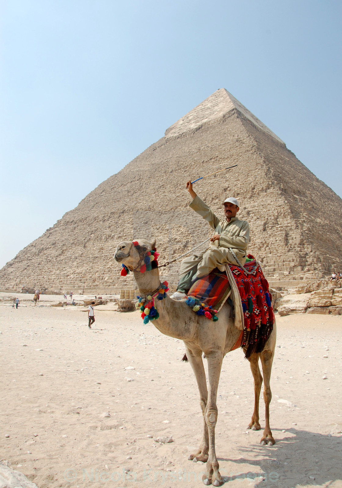 "One man and his camel at Giza" stock image