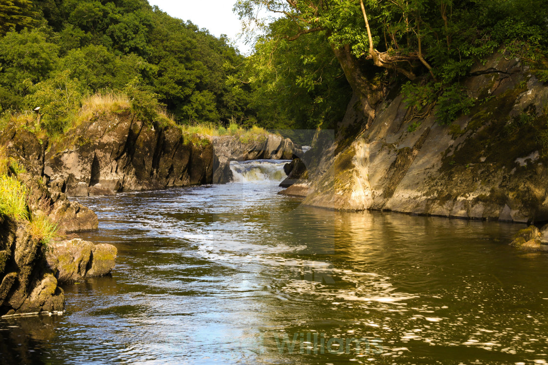 "Cenarth Falls" stock image