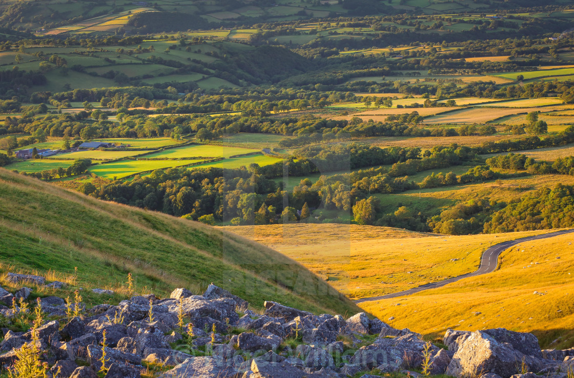 "Summer in the Black Mountains" stock image