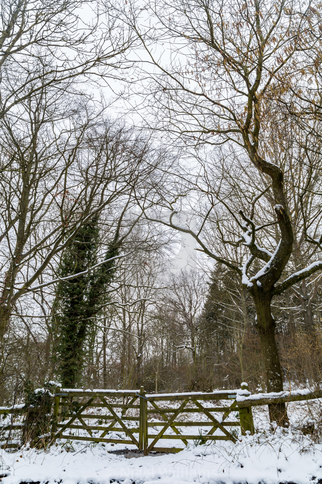 "Gates in the Snow" stock image