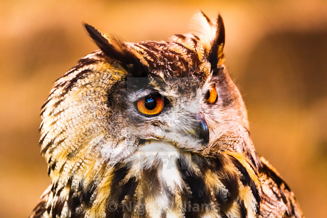 "Are You Talking to Me?" stock image