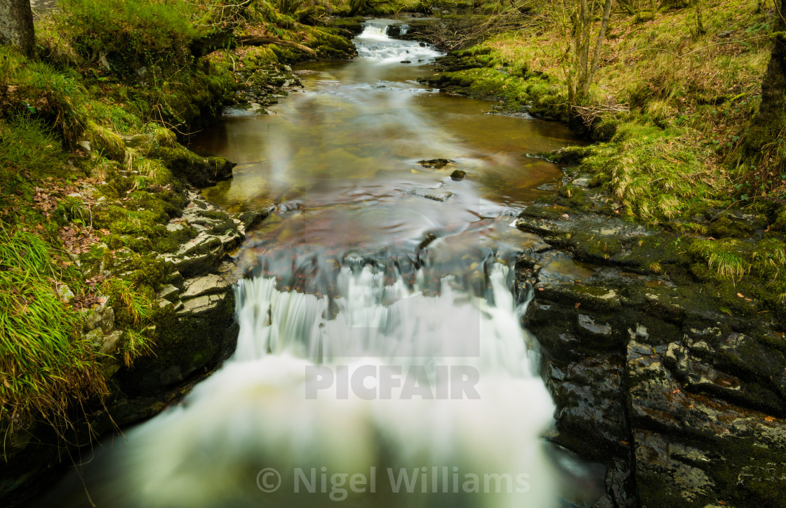 "Flowing Through the Woodland" stock image