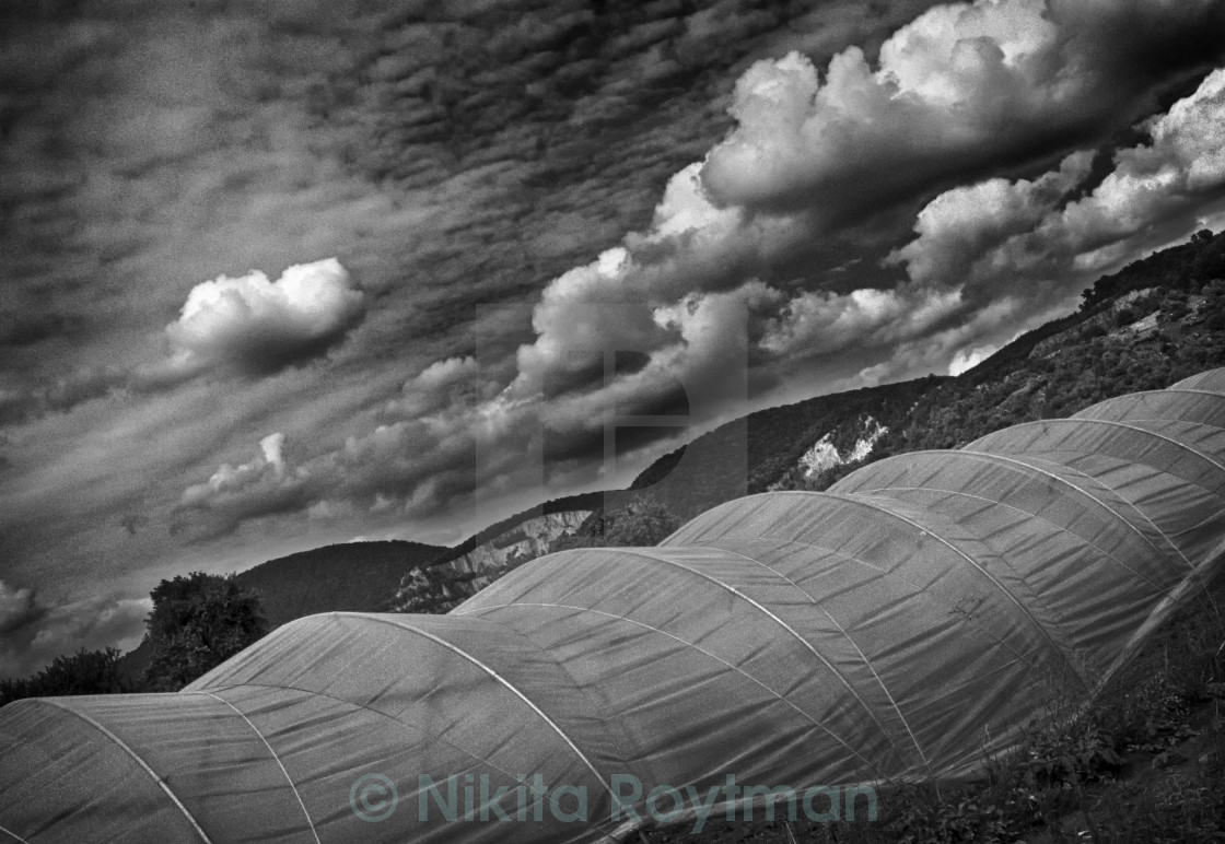 "World Outside" by Nikita Roytman - $38.01 "World Outside" stock image