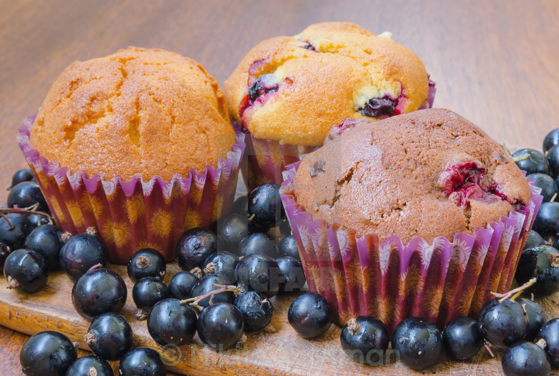 "Muffins With Blackcurrant" by Nikita Roytman - $3.04 "Muffins With Blackcurrant" stock image