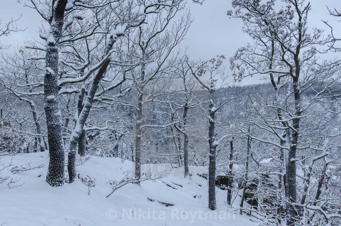 "A Peaceful Winter Scenery" by Nikita Roytman - $7.70 "A Peaceful Winter Scenery" stock image