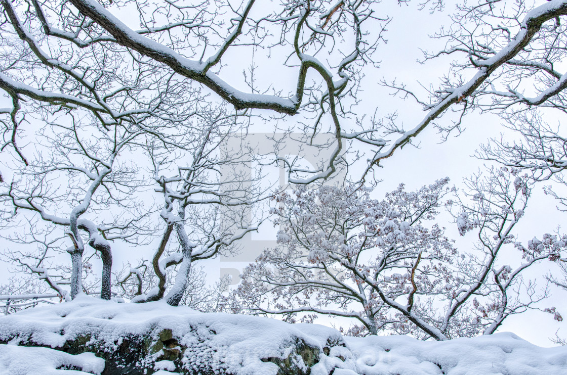 "Natural Winter" by Nikita Roytman - $7.70 "Natural Winter" stock image