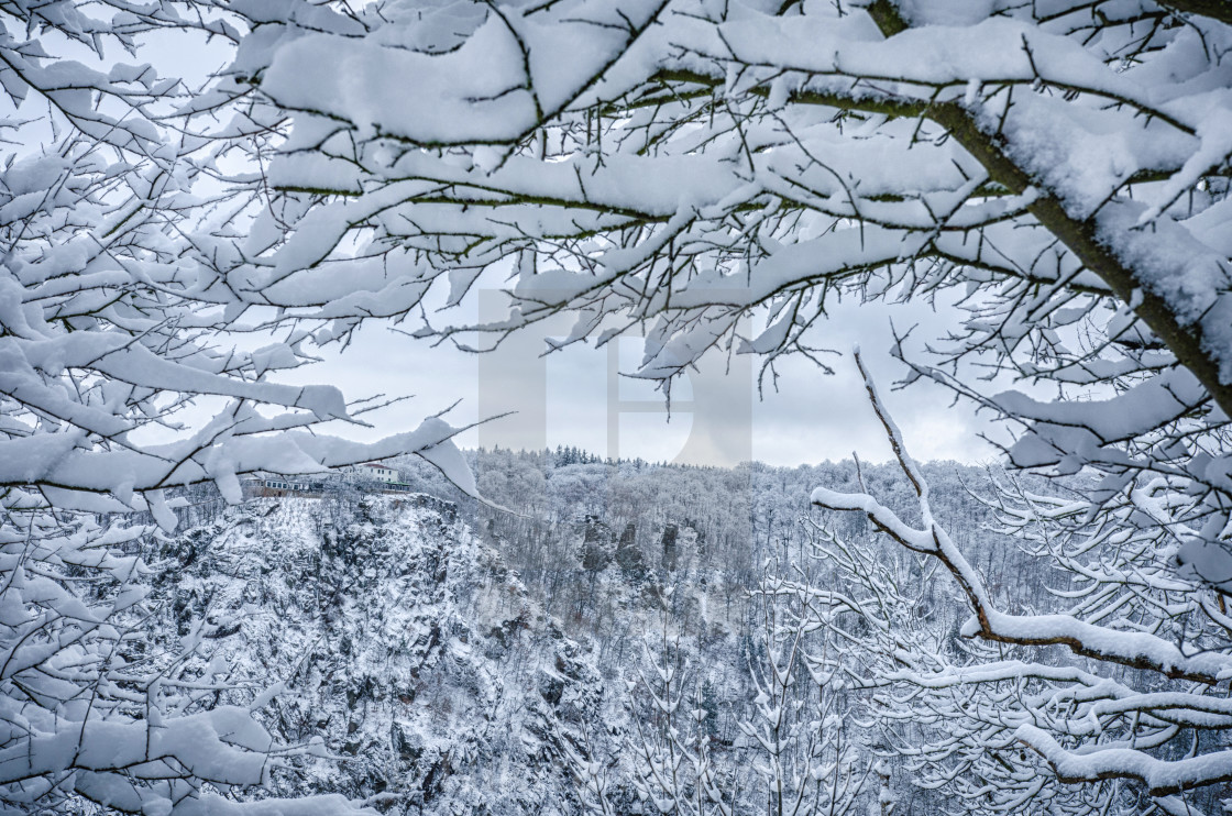 "Winter Scene In The Mountain Forest" by Nikita Roytman - $15.41 "Winter Scene In The Mountain Forest" stock image