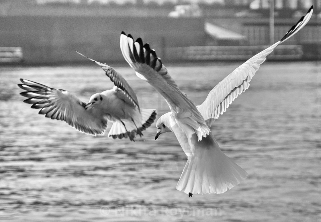 "Urban Flight" by Nikita Roytman - $38.52 "Urban Flight" stock image