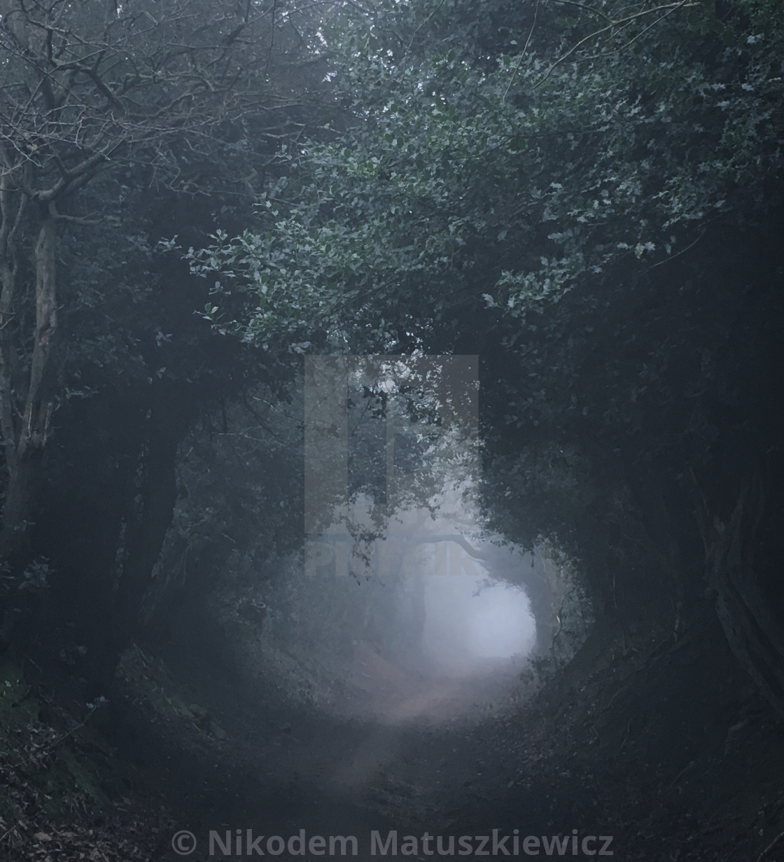 "Foggy tunnel" stock image